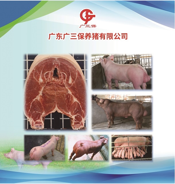 公司简介图