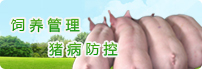 饲养管猪病防控理